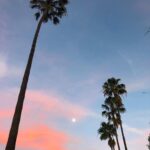 Annabelle Wallis Instagram – Moon