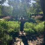 Annabelle Wallis Instagram - California you are a beauty.