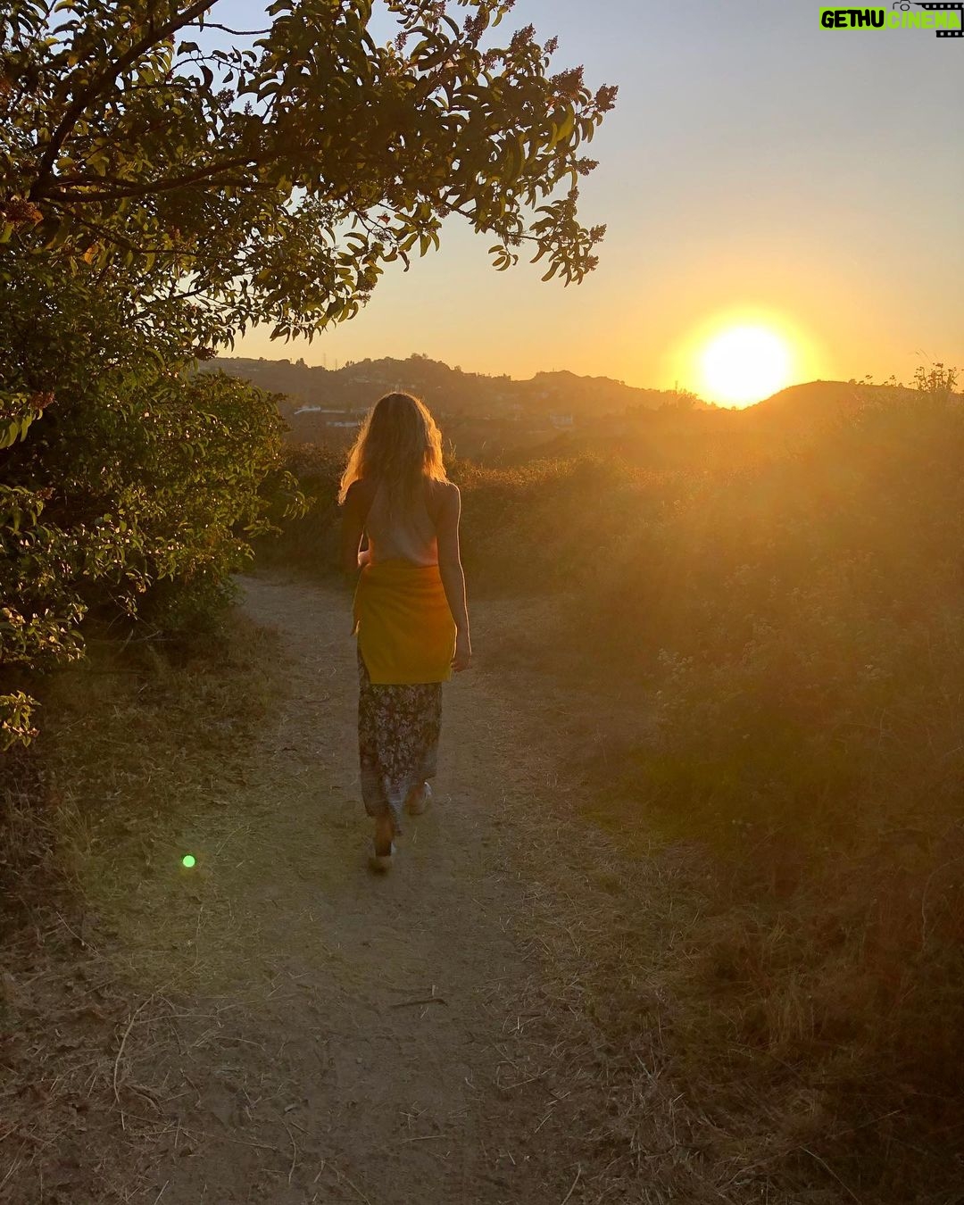 Annabelle Wallis Instagram - This is why I love this city. #losangeles #nature
