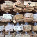 Annabelle Wallis Instagram - Meiji Shrine Tokyo. I left a wish for you all