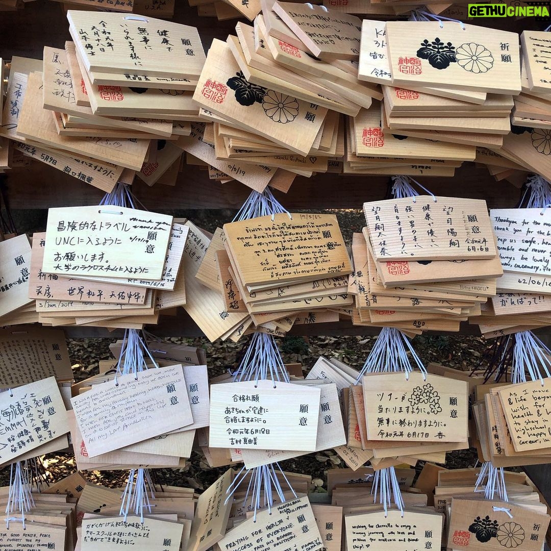Annabelle Wallis Instagram - Meiji Shrine Tokyo. I left a wish for you all