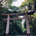 Annabelle Wallis Instagram - Hello Tokyo ❤️