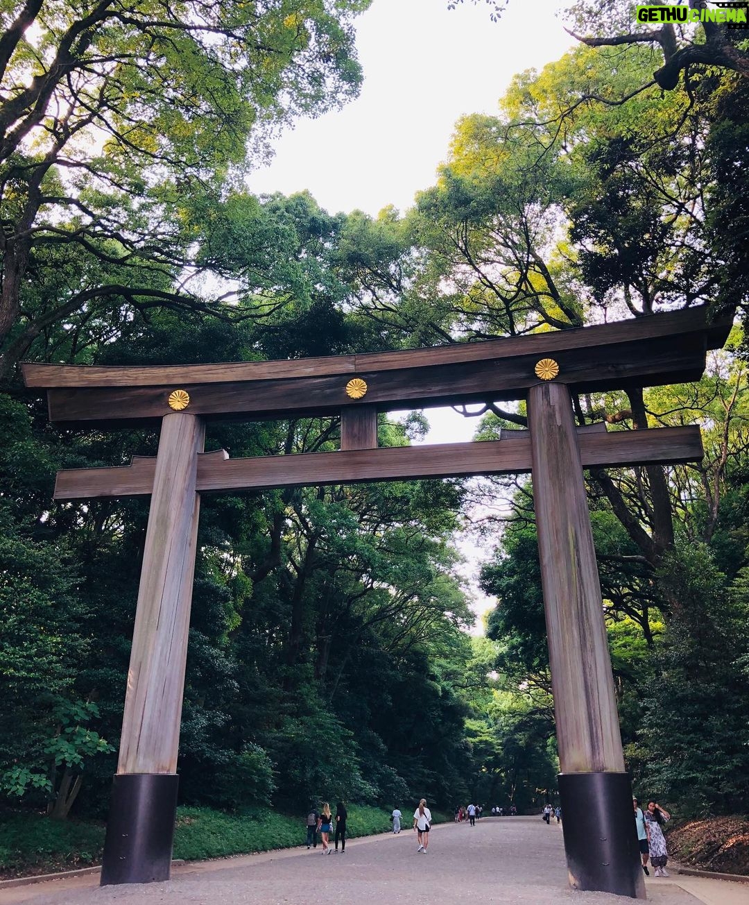 Annabelle Wallis Instagram - Hello Tokyo ❤️