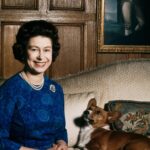 Annabelle Wallis Instagram - “When life seems hard, the courageous do not lie down and accept defeat; instead, they are all the more determined to struggle for a better future” Queen Elizabeth II Rest In Peace, Your Majesty. 🤍🤍🤍🤍🤍🤍🤍🤍🤍