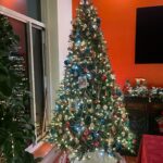 Anne Burrell Instagram – My tree!!!! #theclaxtons #christmas #lovewhatido #luckygirl