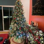 Anne Burrell Instagram – My tree!!!! #theclaxtons #christmas #lovewhatido #luckygirl