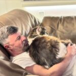 Anne Burrell Instagram - I’m not gonna lie @stuartclaxton and #nuttynancycrazypants I’m a little jelly… #theclaxtons #ilovewhatido #luckygirl #mainecooncats