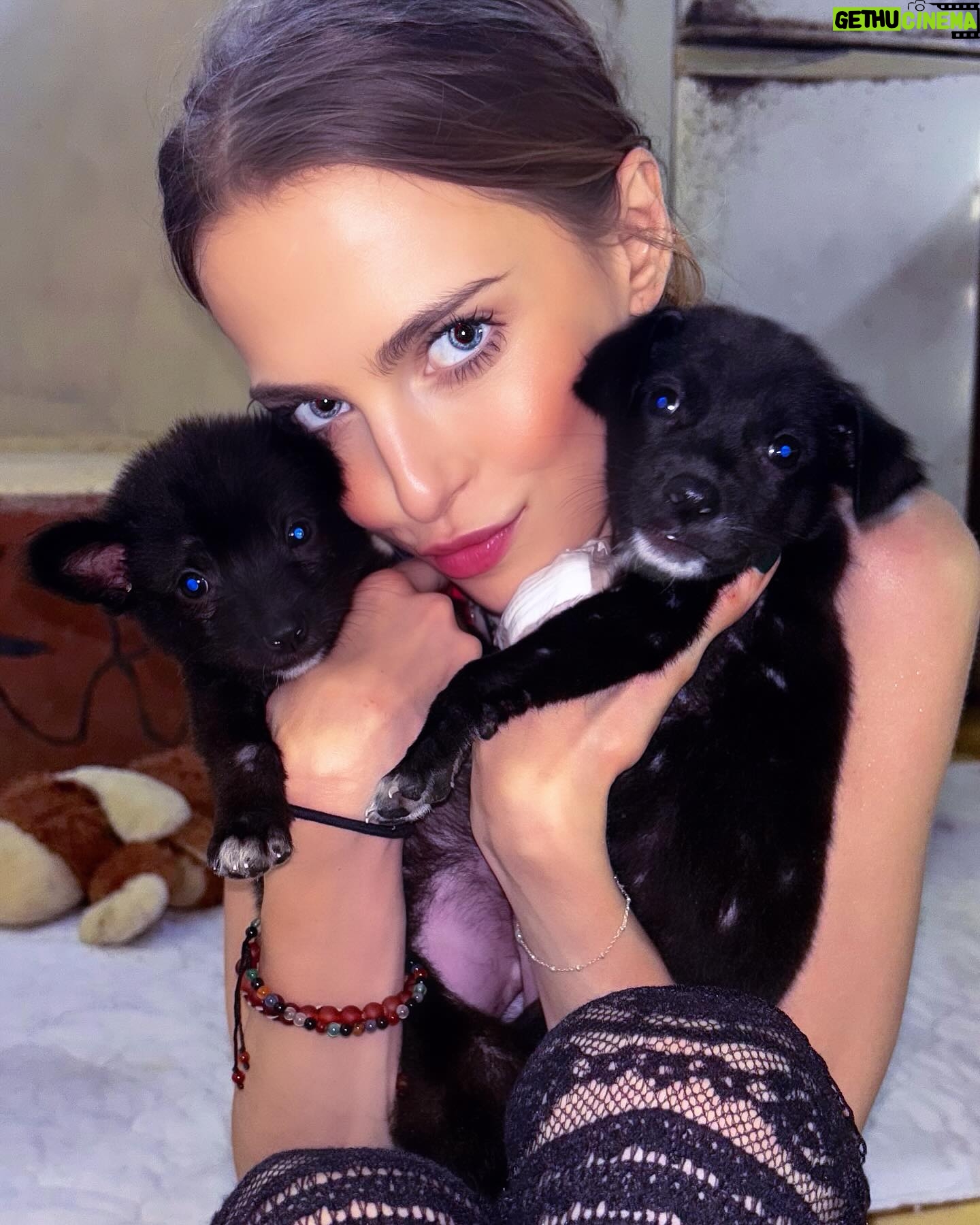Anne Winters Instagram - Today @barc4balidogsindonesia @barc4balidog playing with these lil ones πΆπ₯°π€π€πΌ sponsored the little boy (paid for his vaccines and things needed for newborn pups) SO I also got the privilege of naming himβ¦. meet lil SOL- his sister was already named LUNA- so now the π will always be tied to his π