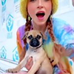 Anne Winters Instagram - Thankful for places like @thelabellefoundation 🐾 fostering has been such a blessing for me AND my mental health 🙏🏼🤍