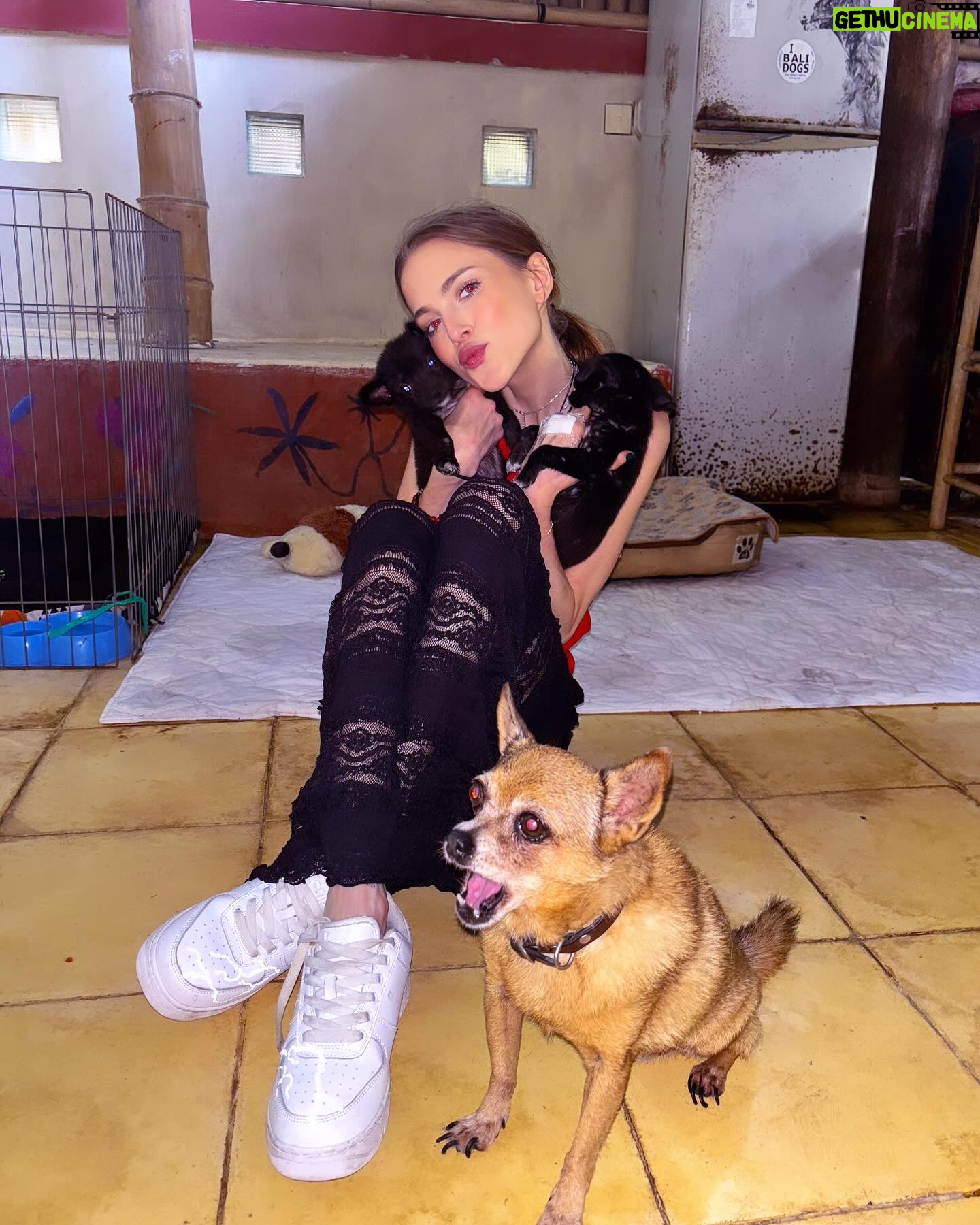 Anne Winters Instagram - Today @barc4balidogsindonesia @barc4balidog playing with these lil ones πΆπ₯°π€π€πΌ sponsored the little boy (paid for his vaccines and things needed for newborn pups) SO I also got the privilege of naming himβ¦. meet lil SOL- his sister was already named LUNA- so now the π will always be tied to his π