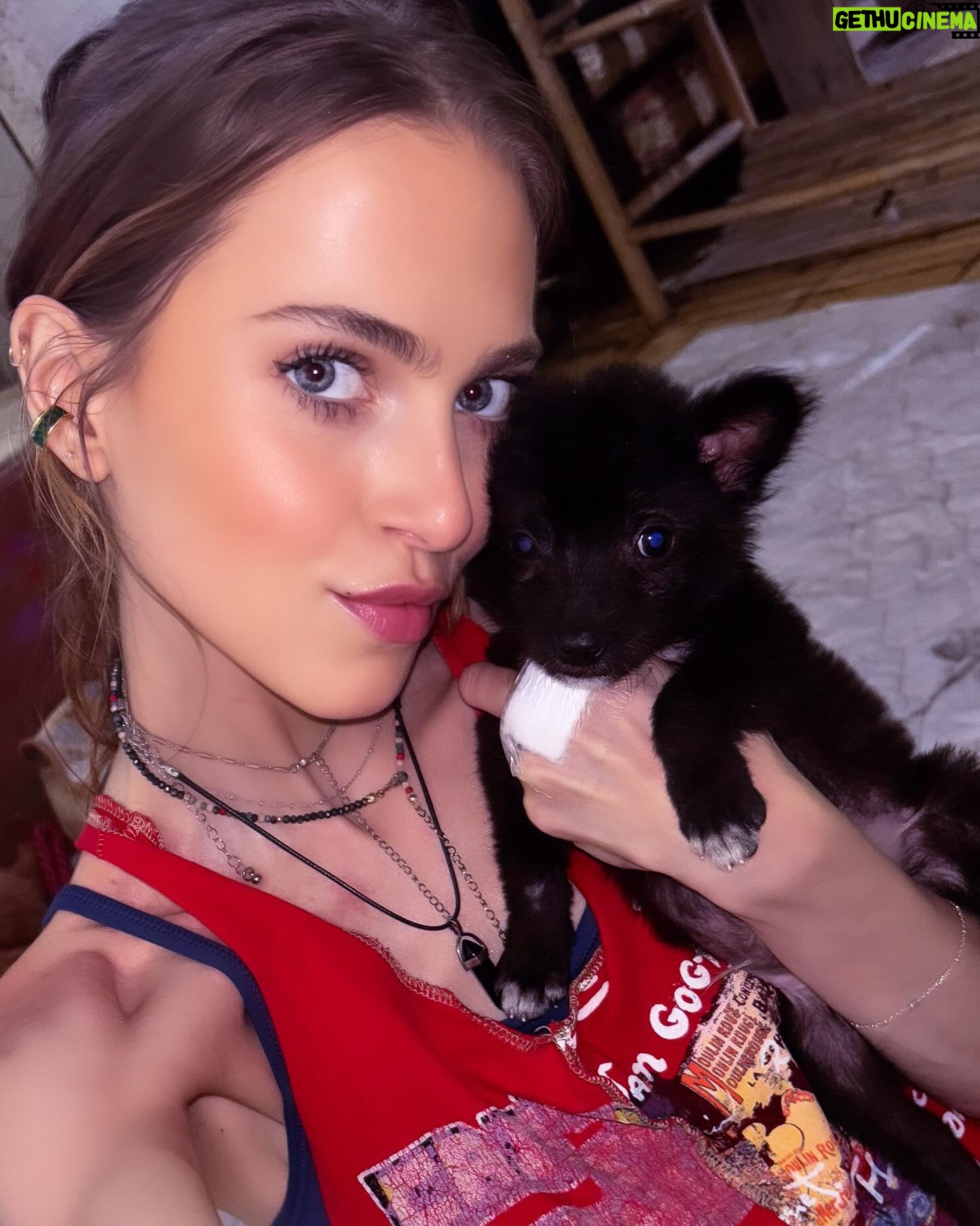 Anne Winters Instagram - Today @barc4balidogsindonesia @barc4balidog playing with these lil ones πΆπ₯°π€π€πΌ sponsored the little boy (paid for his vaccines and things needed for newborn pups) SO I also got the privilege of naming himβ¦. meet lil SOL- his sister was already named LUNA- so now the π will always be tied to his π