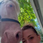 Anne Winters Instagram - Unicorns 🦄 exist