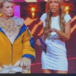 Annemarie Carpendale Instagram - ..the weekend! …als ich in der liveShow erfahren hab, dass mein Teddy zum Babylöwen wurde… ✨🐻⚡️🦁✨🥺 #themaskedsinger #aprilwetter 👙 #ontour #pro7aftershow #anniehow #annieway #hiandbye