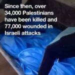 Annie Lennox Instagram - Dear Friends, Every day I wake up in the hope that this appalling debacle comes to an end. On the 201st day of indiscriminate bombardment, killing, wounding, death, torture, famine .. on and on… I look at these figures in abject horror and despair. FOURTEEN THOUSAND INNOCENT CHILDREN KILLED ?????!!!!! Look through the papers.. Their headlines refer to D Trump’s trial, or some celebrity break - up… FOURTEEN THOUSAND dead children seems to be almost a meaningless number to the media.. I come from an ethical, humanitarian perspective. I’ve always wanted to see justice harmony and peace in the Middle East. Pandora’s Box was opened on Oct 7th, when Hell was unleashed. After 200 days, the numbers of mortalities and levels of abject destruction are absutely incomparable.. And OF COURSE I WANT TO SEE ALL THE HOSTAGES RETURNED. I WANT THIS WHOLE THING TO STOP!!!!!! #ceasefire #endthegenocide