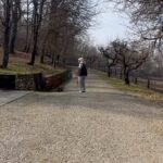 Antonella Clerici Instagram - Passeggiata domenicale nel bosco❤️ Con Argo,Simba e Pepper #cani #casanelbosco #domenica #cavalli pic by @ste_tambo @vittorio_garrone