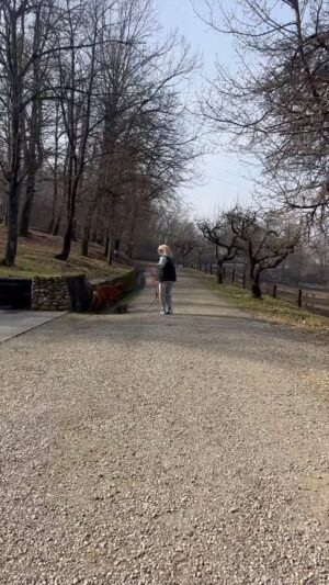 Antonella Clerici Instagram - Passeggiata domenicale nel bosco❤️ Con Argo,Simba e Pepper #cani #casanelbosco #domenica #cavalli pic by @ste_tambo @vittorio_garrone