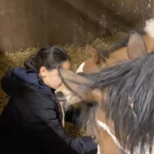 Antonella Clerici Instagram - Bacini ai Basini❤️ Maelle e Urano ⭐️ #casanelbosco