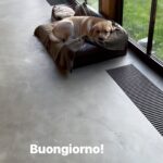 Antonella Clerici Instagram -