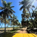 Any Borges Instagram - Nessa viagem de aniversário, tô curtindo muito, sabe? Tudo do jeitinho que eu amo. Praia, risadas com a família, comida simples, lugares surreais. Era exatamente o que eu tava precisando agora 😎☀️🌴