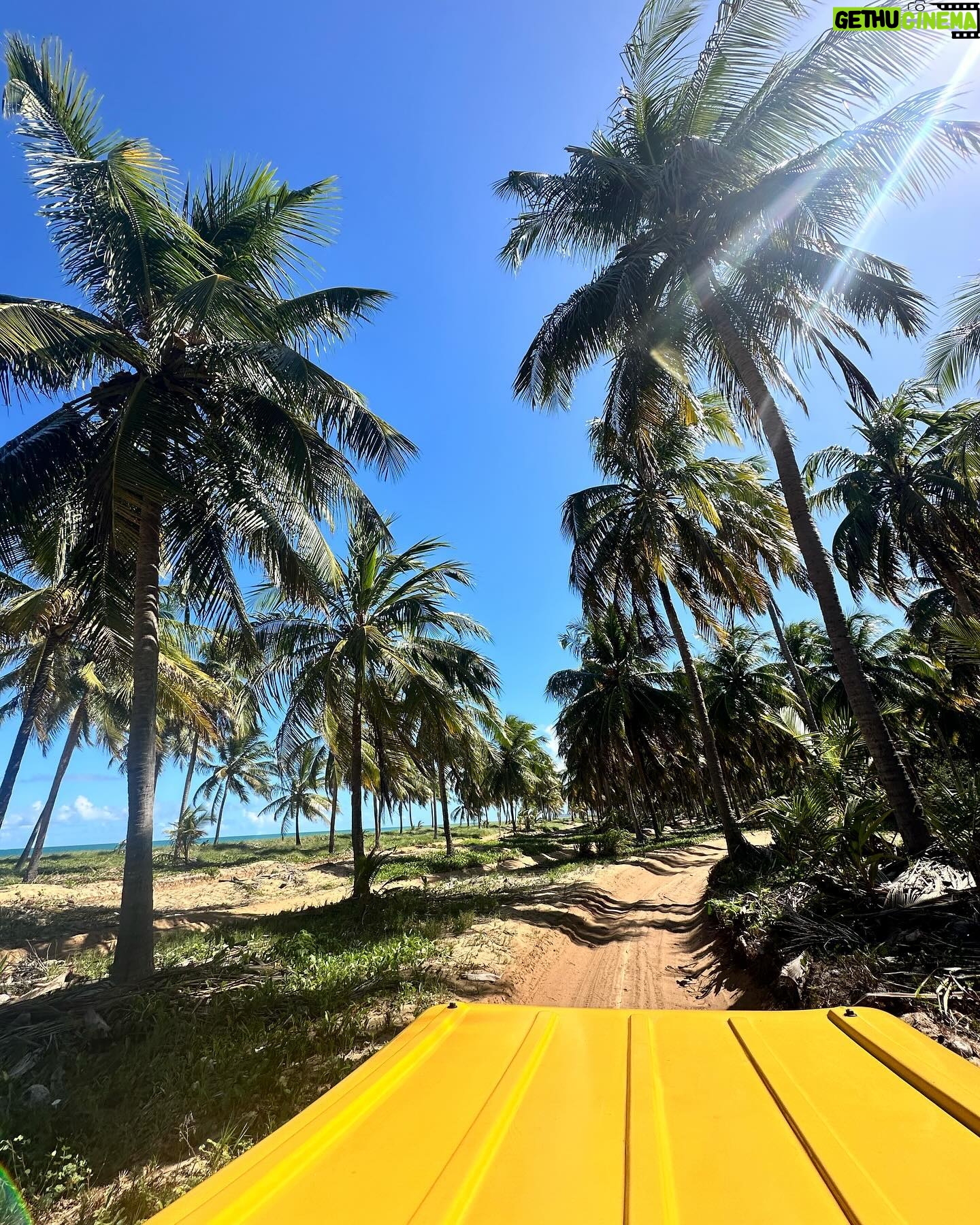 Any Borges Instagram - Nessa viagem de aniversário, tô curtindo muito, sabe? Tudo do jeitinho que eu amo. Praia, risadas com a família, comida simples, lugares surreais. Era exatamente o que eu tava precisando agora 😎☀️🌴