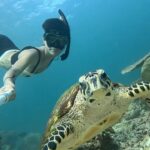 Apinya Sakuljaroensuk Instagram - Selfie of The day 🐢 @blue.prodigy @goprothailand @270pro #ขอให้ทะเลโอบกอดเรา