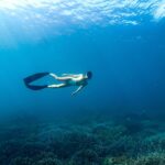 Apinya Sakuljaroensuk Instagram - 🧜🏼‍♀️ เข้าเวรภาคทะเล 🧜🏼‍♀️ @blue.prodigy @alchemy.blueprodigy #ขอให้ทะเลโอบกอดเรา