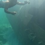 Arán de las Casas Instagram - peace 💦🐠🐬