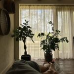 Arabella Chi Instagram - Days like these 🤍