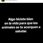 Aracely Arámbula Instagram – ✨🫶✨😍🐶✨🐾🐾✨🫶 #AngelDe4PatasRR