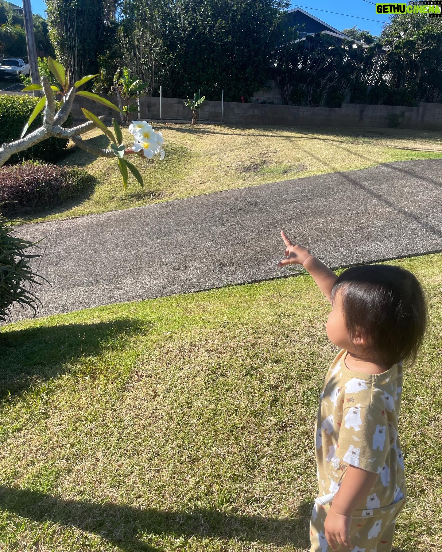 Arden Cho Instagram - Love Mina so much @mijkatori @nanchatti super parents! So much love from this cutie, she picks flowers every morning with daddy to give to momma.. auntie got some of that love too. How precious is that?? I’ll miss tea time, naps, reading & even crying cuddles!