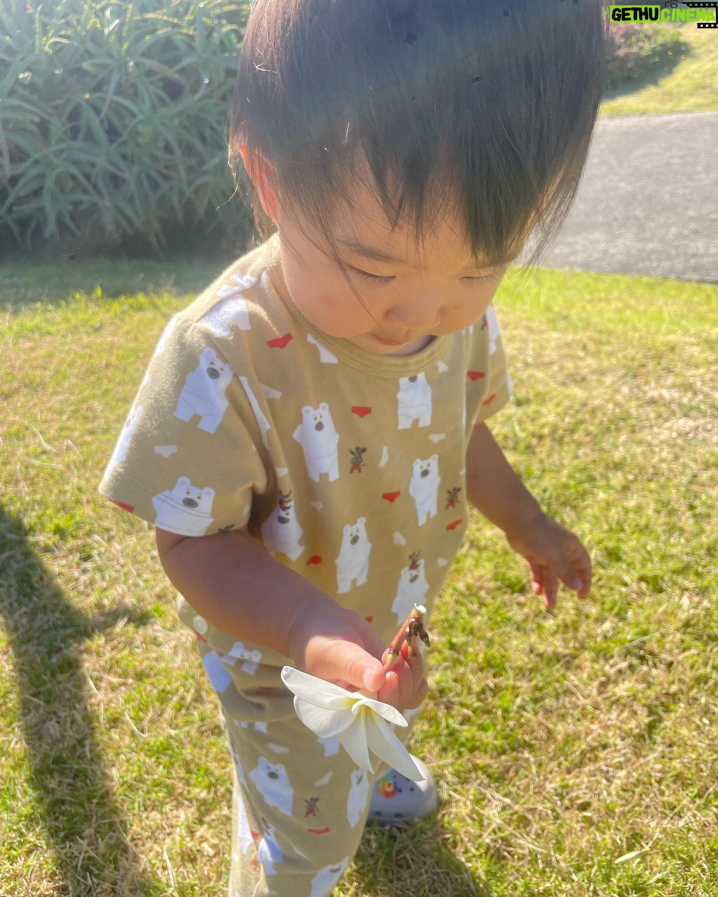Arden Cho Instagram - Love Mina so much @mijkatori @nanchatti super parents! So much love from this cutie, she picks flowers every morning with daddy to give to momma.. auntie got some of that love too. How precious is that?? I’ll miss tea time, naps, reading & even crying cuddles!