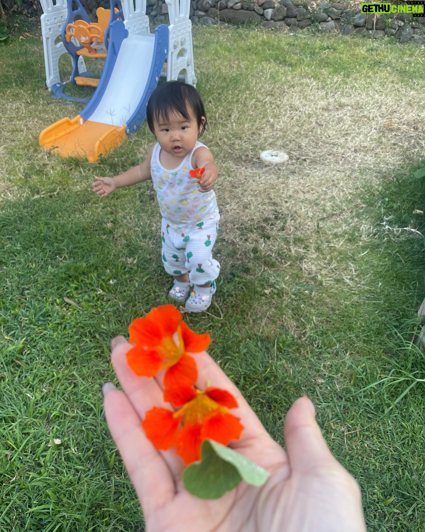 Arden Cho Instagram - Love Mina so much @mijkatori @nanchatti super parents! So much love from this cutie, she picks flowers every morning with daddy to give to momma.. auntie got some of that love too. How precious is that?? I’ll miss tea time, naps, reading & even crying cuddles!