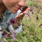 Ariana DeBose Instagram - Nothing makes me happier and more at peace than when I’m surrounded by nature ☀️🌺🍃⛰️🌊🌻 Happy #EarthDay! Let’s all do our part to not only enjoy Mother Earth but take care of her. The little things count ♻️