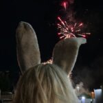 Ariana Greenblatt Instagram - tiny tina…out! Today I wrapped @borderlandsfilm and I’m truly so grateful to be apart of this chaotic movie. I’ve never been more happy then when I was on this set. Eli, Jamie, Cate, Kevin, Flo, and the rest of the Borderlands cast are all my family now. I’ve learned so much and can’t believe I got to spend almost 4 months with these weirdos🐰 #borderlands #borderlandsmovie #tinytina #cateblanchett