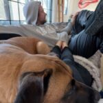 Ariel Winter Instagram - Not always the best at posting photos in the moment so consider this a Q1 dump🥹 2024 has been off to an amazing start! Lots of time with Poot, lots of cooking, lots of puppy snuggles🐶 What have you guys been up to?❤️