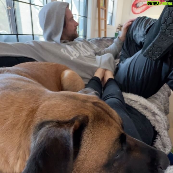 Ariel Winter Instagram - Not always the best at posting photos in the moment so consider this a Q1 dump🥹 2024 has been off to an amazing start! Lots of time with Poot, lots of cooking, lots of puppy snuggles🐶 What have you guys been up to?❤