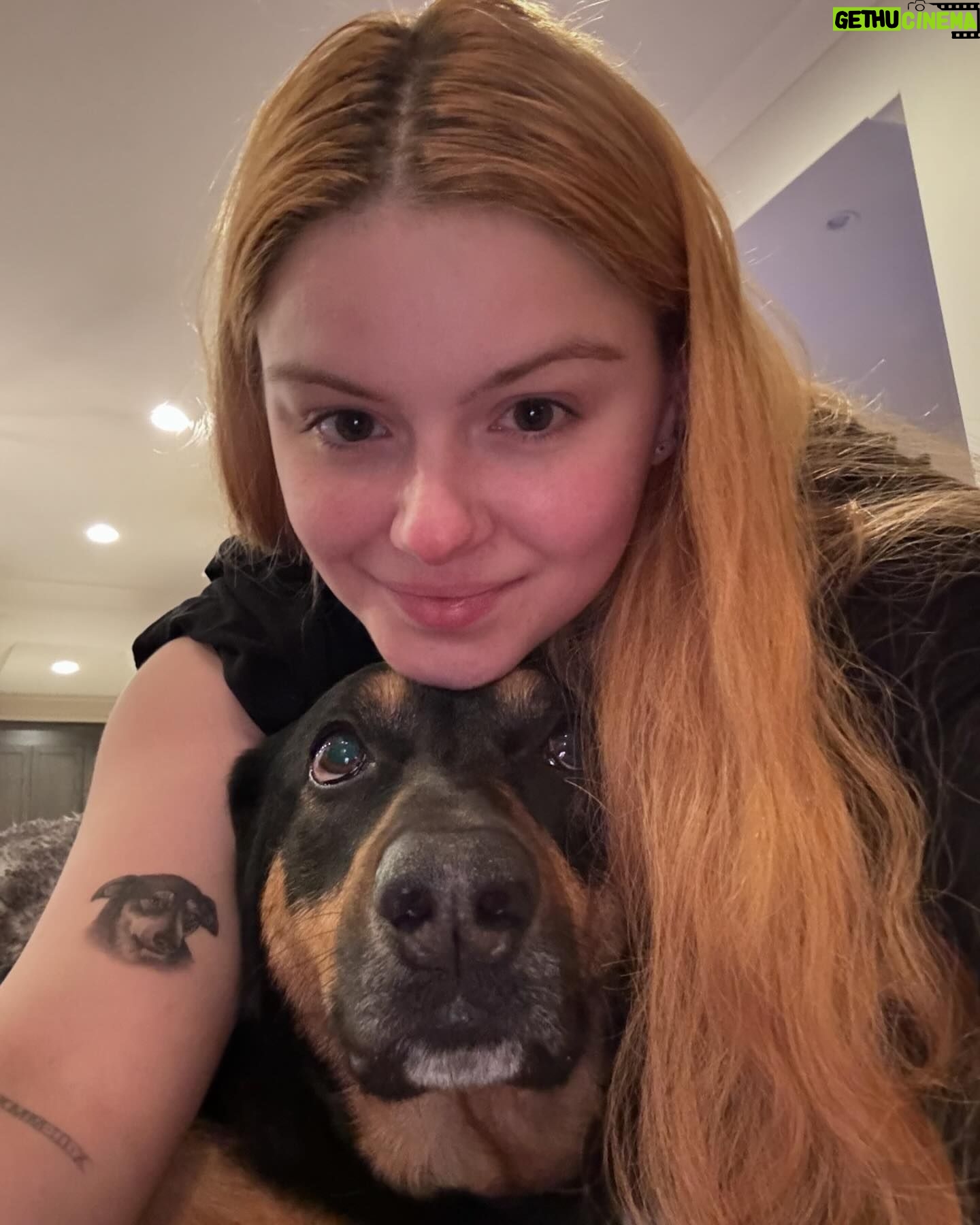 Ariel Winter Instagram - FYI Chloe is doing great so don’t worry! I know this caption is so long, but please read until the end if you have the time *second half continued in comments*❤️ Thank you for this beautiful, impromptu piece @sirinate.s You captured her perfectly. Pic 4 was the reference photo 🥹 This tattoo will forever be my favorite. Words will never be able to fully express how much, and what, this tattoo means to me but I will try❤️ August 27th, 2016 (pictures 5-10) was one of the best days of my life because I rescued my soul dog Chloe. Prior to contacting a GS rescue, I didn’t know much about the rescue world. I had only ever had one dog (I got Casper in 2014 when I was 16), and he was not a rescue. When I decided to get a second dog, I was introduced to rescue and immediately knew I wanted to learn more and get involved. After doing some research, I chose to rescue. Once I moved out into my own place, I contacted a GS rescue in downtown LA and connected with the most wonderful woman, Maria Wagner @wag_tales (she runs @smileytailsrescue now), who let me know they had just brought in a stray female that she thought I may be interested in. I told her I wanted to come and meet her right away. When I got there, it didn’t take long to know I was taking her home. When I looked into her eyes, I knew it was meant to be. I knew she was my best friend, and one of the deepest connections I’d ever have. She is my whole heart. I don’t know where I would be without Chloe, and even the smallest thought of one day doing life without her breaks me to my core. The day I rescued her she began to heal my broken inner child without me even realizing it. Chloe ignited my passion for rescue and showed me my purpose🤍