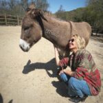 Arielle Kebbel Instagram - thank you for the birthday love! for my bday pls consider donating to @skydogdonkeys 🫏 you all know I love horses and supporting the work @skydogsanctuary does so it’s important to share what’s happening to our donkeys as well. This is Flopsy and her baby fufu ( bang goals ) they were both in a kill pen possibly headed to slaughter. With your help, they were rescued by skydog and now living their best lives. Flopsy is the first donkey I’ve sponsored and I love her. You can sponsor support the donkeys for various amounts each month on skydogs website. had to throw in some pics of the mini donkeys as well! from Hawaii, lots of aloha love to you all and thank you for supporting me and these beautiful animals 🐴 🌺 @skydogdonkeys @skydogsanctuary 📸 @tommeemay #skydog #skydogsanctuary #donkey #wildanimals #rescue #happybirthday #tome
