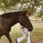 Arielle Kebbel Instagram - A walk on the wild side • #wildmustang #mustangs #mustangmama #wildhorses #rescue #stoptheroundups #wildatheart #mywholeheart #shesmyreminder #staywild #thankyou #skydogsanctuary