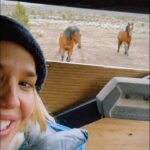 Arielle Kebbel Instagram - so much to say and share about @skydogsanctuary in Oregon … for now… meet the most handsome boys Jonny Cash Jack Sparrow. @thismustanglife we have a type Tay Tay gets it • #skydog #sanctuary #rescuehorse #savewildmustangs #wildmustang #wildhorses #oregon #taytay #taylorswift #timmcgraw #jacksparrow #jonnycash