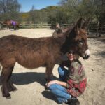 Arielle Kebbel Instagram - thank you for the birthday love! for my bday pls consider donating to @skydogdonkeys 🫏 you all know I love horses and supporting the work @skydogsanctuary does so it’s important to share what’s happening to our donkeys as well. This is Flopsy and her baby fufu ( bang goals ) they were both in a kill pen possibly headed to slaughter. With your help, they were rescued by skydog and now living their best lives. Flopsy is the first donkey I’ve sponsored and I love her. You can sponsor support the donkeys for various amounts each month on skydogs website. had to throw in some pics of the mini donkeys as well! from Hawaii, lots of aloha love to you all and thank you for supporting me and these beautiful animals 🐴 🌺 @skydogdonkeys @skydogsanctuary 📸 @tommeemay #skydog #skydogsanctuary #donkey #wildanimals #rescue #happybirthday #tome