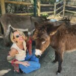 Arielle Kebbel Instagram - thank you for the birthday love! for my bday pls consider donating to @skydogdonkeys 🫏 you all know I love horses and supporting the work @skydogsanctuary does so it’s important to share what’s happening to our donkeys as well. This is Flopsy and her baby fufu ( bang goals ) they were both in a kill pen possibly headed to slaughter. With your help, they were rescued by skydog and now living their best lives. Flopsy is the first donkey I’ve sponsored and I love her. You can sponsor support the donkeys for various amounts each month on skydogs website. had to throw in some pics of the mini donkeys as well! from Hawaii, lots of aloha love to you all and thank you for supporting me and these beautiful animals 🐴 🌺 @skydogdonkeys @skydogsanctuary 📸 @tommeemay #skydog #skydogsanctuary #donkey #wildanimals #rescue #happybirthday #tome