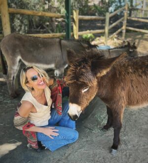 Arielle Kebbel Instagram - thank you for the birthday love! for my bday pls consider donating to @skydogdonkeys 🫏 you all know I love horses and supporting the work  @skydogsanctuary does so it’s important to share what’s happening to our donkeys as well. This is Flopsy and her baby fufu ( bang goals ) they were both in a kill pen possibly headed to slaughter. With your help, they were rescued by skydog and now living their best lives. Flopsy is the first donkey I’ve sponsored and I love her. You can sponsor   support the donkeys for various amounts each month on skydogs website. had to throw in some pics of the mini donkeys as well! from Hawaii, lots of aloha love to you all and thank you for supporting me and these beautiful animals 🐴 🌺 @skydogdonkeys @skydogsanctuary 

📸 @tommeemay 

#skydog #skydogsanctuary #donkey #wildanimals #rescue #happybirthday #tome