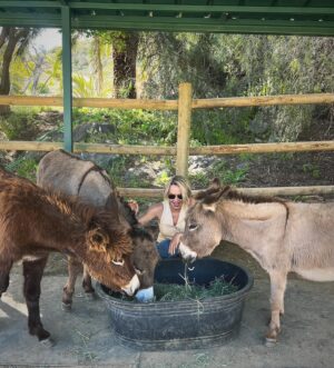 Arielle Kebbel Instagram - thank you for the birthday love! for my bday pls consider donating to @skydogdonkeys 🫏 you all know I love horses and supporting the work  @skydogsanctuary does so it’s important to share what’s happening to our donkeys as well. This is Flopsy and her baby fufu ( bang goals ) they were both in a kill pen possibly headed to slaughter. With your help, they were rescued by skydog and now living their best lives. Flopsy is the first donkey I’ve sponsored and I love her. You can sponsor   support the donkeys for various amounts each month on skydogs website. had to throw in some pics of the mini donkeys as well! from Hawaii, lots of aloha love to you all and thank you for supporting me and these beautiful animals 🐴 🌺 @skydogdonkeys @skydogsanctuary 

📸 @tommeemay 

#skydog #skydogsanctuary #donkey #wildanimals #rescue #happybirthday #tome