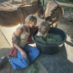 Arielle Kebbel Instagram - thank you for the birthday love! for my bday pls consider donating to @skydogdonkeys 🫏 you all know I love horses and supporting the work @skydogsanctuary does so it’s important to share what’s happening to our donkeys as well. This is Flopsy and her baby fufu ( bang goals ) they were both in a kill pen possibly headed to slaughter. With your help, they were rescued by skydog and now living their best lives. Flopsy is the first donkey I’ve sponsored and I love her. You can sponsor support the donkeys for various amounts each month on skydogs website. had to throw in some pics of the mini donkeys as well! from Hawaii, lots of aloha love to you all and thank you for supporting me and these beautiful animals 🐴 🌺 @skydogdonkeys @skydogsanctuary 📸 @tommeemay #skydog #skydogsanctuary #donkey #wildanimals #rescue #happybirthday #tome