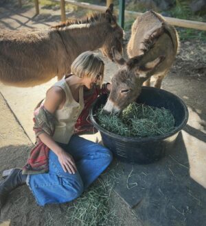 Arielle Kebbel Instagram - thank you for the birthday love! for my bday pls consider donating to @skydogdonkeys 🫏 you all know I love horses and supporting the work  @skydogsanctuary does so it’s important to share what’s happening to our donkeys as well. This is Flopsy and her baby fufu ( bang goals ) they were both in a kill pen possibly headed to slaughter. With your help, they were rescued by skydog and now living their best lives. Flopsy is the first donkey I’ve sponsored and I love her. You can sponsor   support the donkeys for various amounts each month on skydogs website. had to throw in some pics of the mini donkeys as well! from Hawaii, lots of aloha love to you all and thank you for supporting me and these beautiful animals 🐴 🌺 @skydogdonkeys @skydogsanctuary 

📸 @tommeemay 

#skydog #skydogsanctuary #donkey #wildanimals #rescue #happybirthday #tome