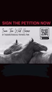 Arielle Kebbel Instagram - Today is the last day ~ We need 100,000k signatures so we can hand deliver to ND politicians to save the wild horses in Theodore National Park. This is a life changing moment for the history of this park and for these wild horses. Pls help keep them wild. Sign and share. Link in bio. #repost @thismustanglife ・・・ Link in bio!