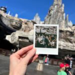 Arielle Vandenberg Instagram - Big ol’ Disney dump. 🪄
