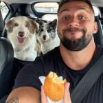 Arthur Picoli Instagram - Trip de hoje com os catioros 🐶 Obs: pau quebrou depois da foto e tive q parar pra separar 😂