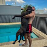 Arthur Picoli Instagram - Alguém quer um bezerro? 😂❤️
